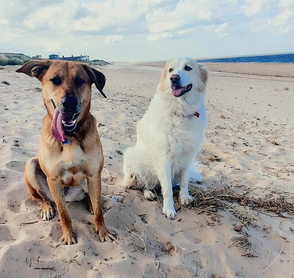 Dune Cottage Caister-on-Sea Luaran gambar