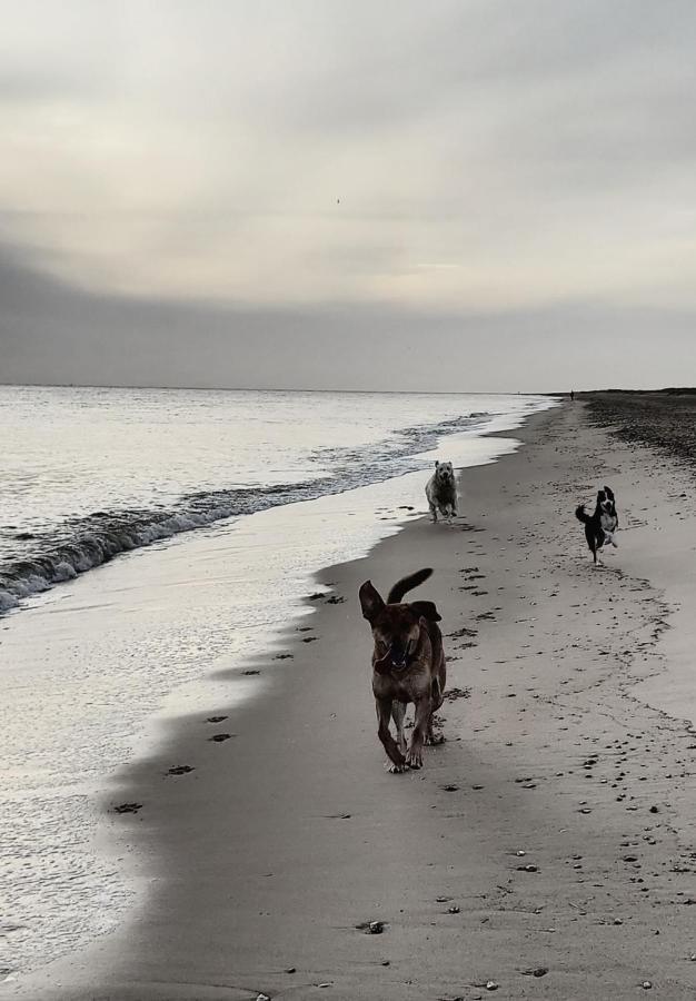 Dune Cottage Caister-on-Sea Luaran gambar